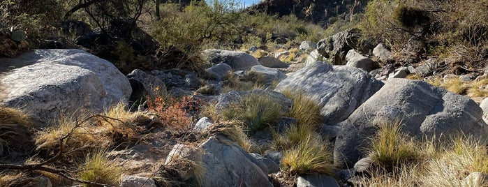 Ventana Canyon Trail is one of My Tucson.