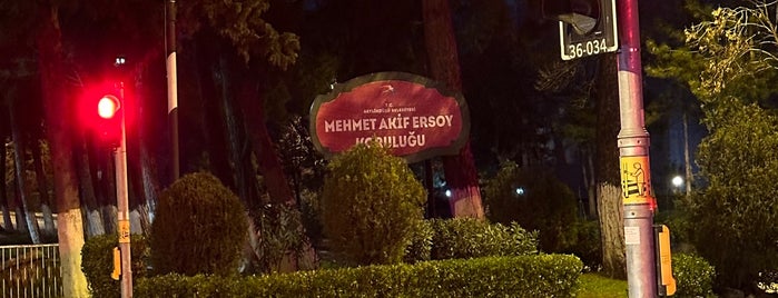 Mehmet Akif Ersoy Koruluğu is one of Gulhane park.