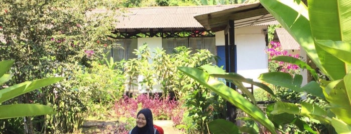 Centella Asiatica Janda Baik Resort is one of @Bentong, Pahang.