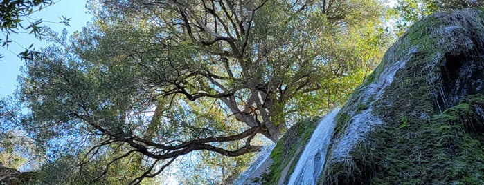 Rose Valley Fall is one of SoCal.