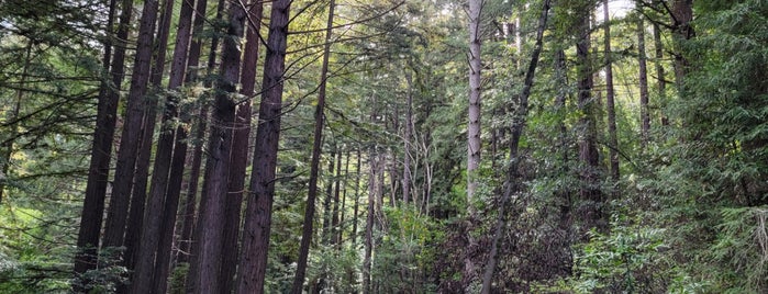 Pogonip Creek Trail is one of Santa Cruz and Montery.