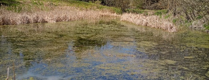 Fletcher Wildlife Garden is one of Orte, die Patricia Carrier gefallen.