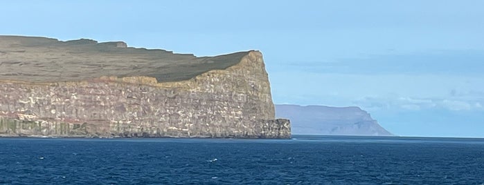 Látrabjarg is one of ICELAND - İZLANDA.