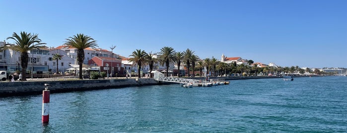 Marina de Lagos is one of Algarve.