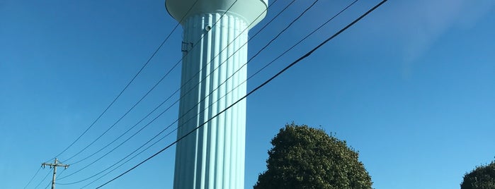 Screamin' Semen Watertower is one of Places to visit.