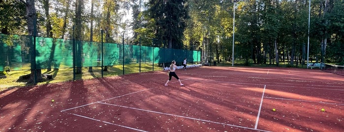 Теннисные корты в Зеленогорске ( Парк - Отель ) is one of Tennis.