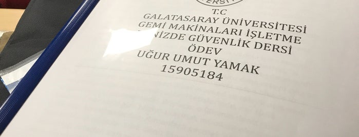 Mühendislik ve Teknoloji Fakültesi is one of Galatasaray Üniversitesi.