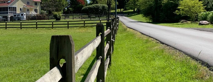 Clifton Park is one of Parks in VA.