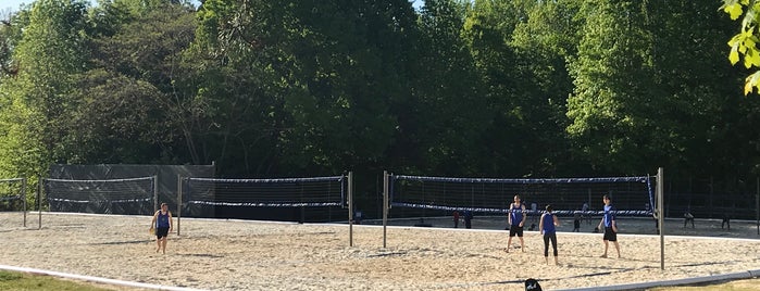 Renaissance Park Volleyball Courts is one of Top 10.