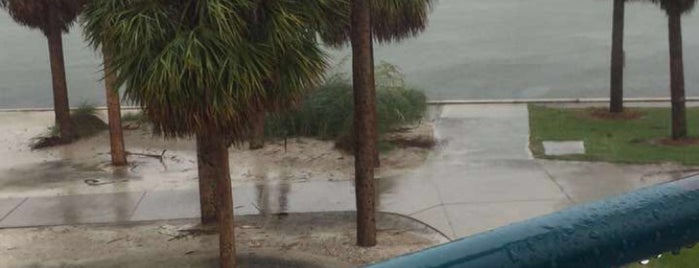 Eckerd College is one of Wiktoria'nın Beğendiği Mekanlar.