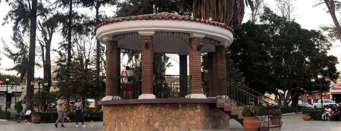 Parque Miguel Hidalgo is one of สถานที่ที่บันทึกไว้ของ Kimmie.