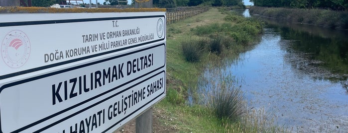 Samsun 19 Mayıs Kızılırmak Deltası Kuş Cenneti is one of สถานที่ที่ Seval ถูกใจ.