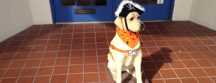 Southeastern Guide Dogs is one of Favorites!.