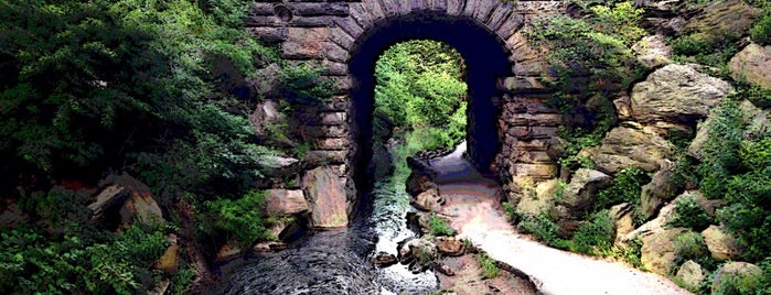 Glenspan Arch is one of Central Park🗽.