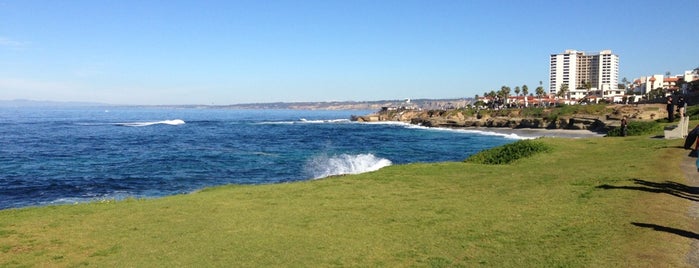La Jolla Tide Pools is one of San Diego.