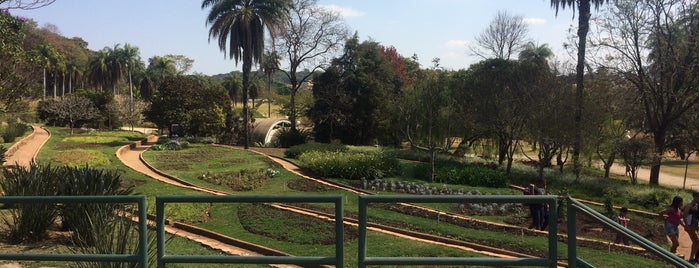 Jardim Botânico is one of Belo Horizonte.
