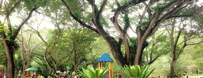 Penang City Park (Youth Park) is one of Neu Tea's Penang Trip 槟城 2.