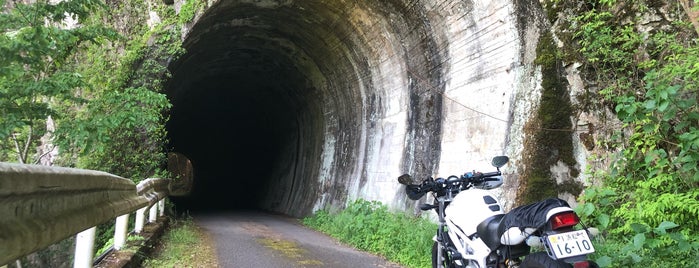 旧田口線双瀬隧道 is one of 愛知県の史跡X 新城 設楽 奥三河.