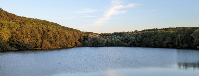 Forêt domaniale de Maurepas is one of Tourisme et geocaching.