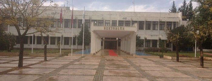 Rektörlük is one of Çukurova Üniversitesi.