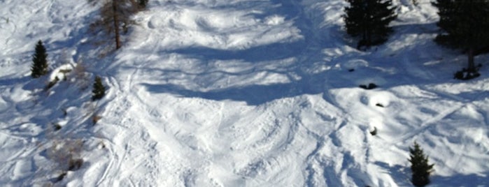 Champoluc is one of Dove sciare.