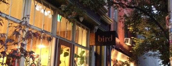 Bird is one of Williamsburg Summer Saturdaze.