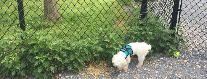 Newark Street Dog Park is one of @IkeTheTerrier Approved Dog Friendly Spots!.