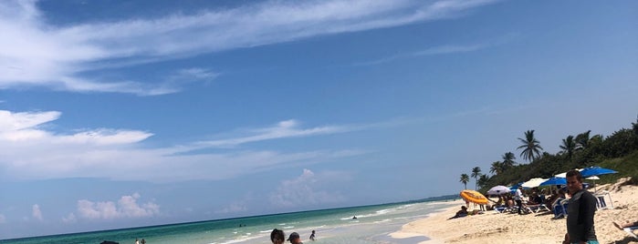 Fish Stall, Santa Maria Beach is one of Zé Renatoさんのお気に入りスポット.