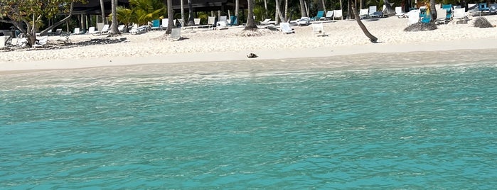 Isla Saona is one of Mic playas.