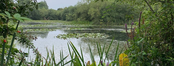 Emberton Country Park is one of London.