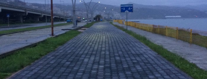 Beşirli Sahili Yürüyüş Yolu is one of Karadeniz.