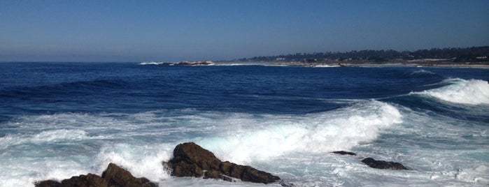 17 Mile Drive - Picnic Rocks is one of Been There and Will Do It Again!.