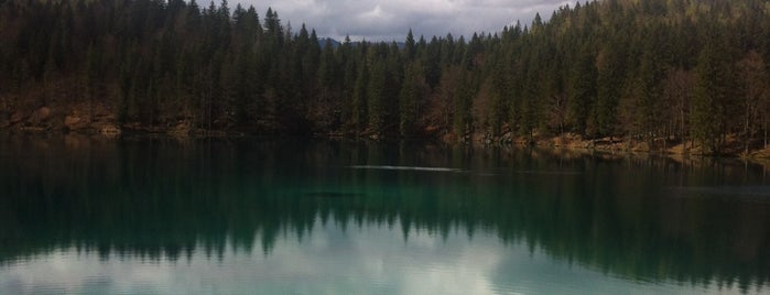 Lago di Fusine inferiore is one of Locais curtidos por Sveta.