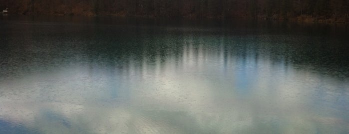 Lago di Fusine inferiore is one of Slovenia.