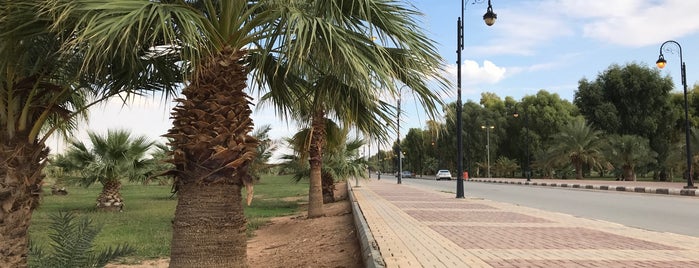 Al Muraba’ Park is one of Arar.