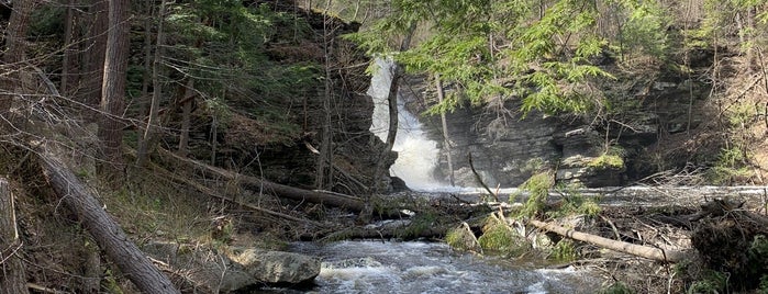 Fulmer Falls is one of Lizzieさんのお気に入りスポット.