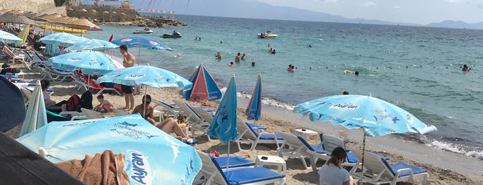 Paradise Beach is one of Kuşadası.