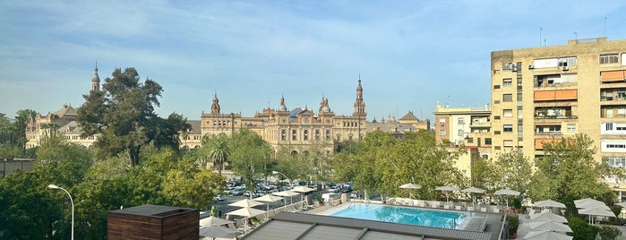 Hotel Meliá Sevilla is one of hotels.