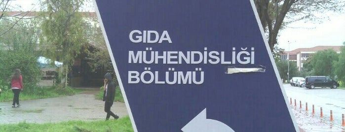 Ege Üniversitesi Gıda Mühendisliği Bölümü is one of สถานที่ที่ Pınar ถูกใจ.