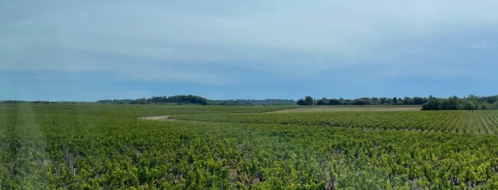 Château Le Crock is one of bordeaux.