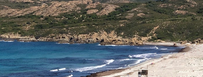 Plage d'Ostriconi is one of corsica.