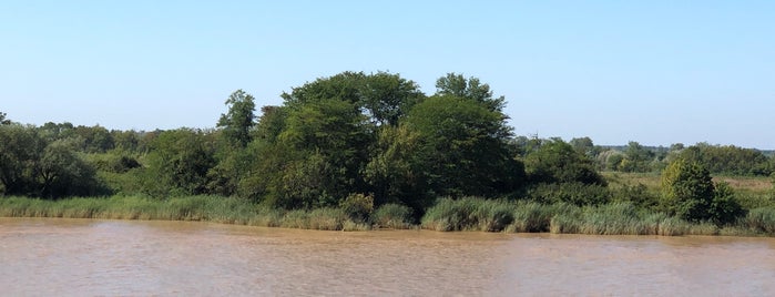 l'ile verte, estuaire de la Gironde is one of aldebaran.