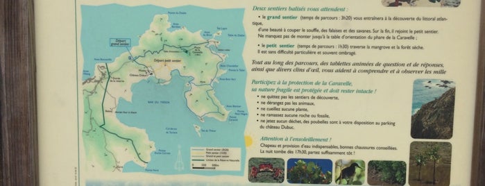 Grand sentier de la presqu'île de la caravelle is one of Martinique : randonnées.