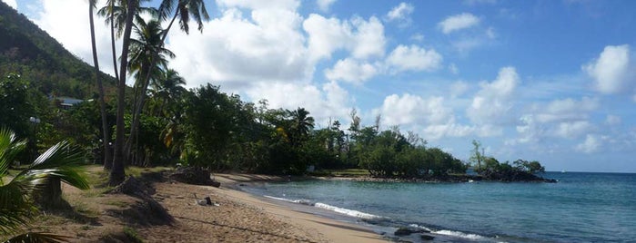 Anse Figuier is one of Plages de la Martinique.