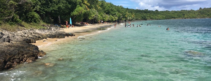 Pointe Borgnèse is one of Martinique & Guadeloupe.