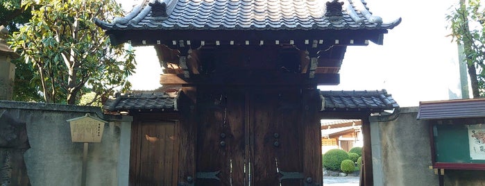 Jr池袋駅周辺のお花見スポット