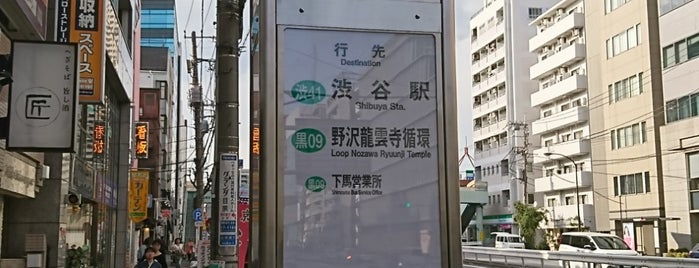 東京共済病院前バス停 is one of 東急バス 渋41系統.
