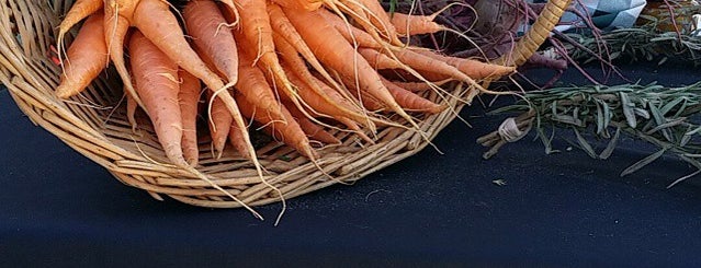 El Paso Downtown Artist and Farmers Market is one of El Paso.