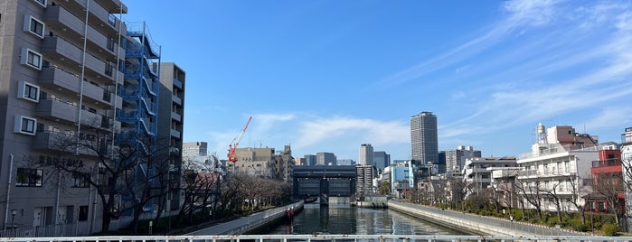 Takabashi Bridge is one of 東京橋 ～下町編～.