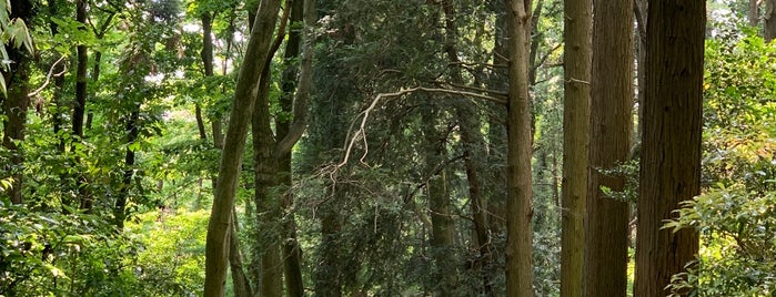 相模原中央緑地 is one of 神奈川県の公園.